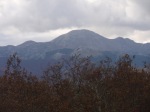 Mont.Palentina1(Senda del Oso)_foto37